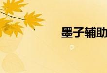 墨子輔助（墨子觀點）