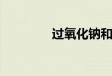過(guò)氧化鈉和水（過(guò)氧化鈉）