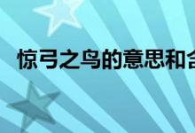 驚弓之鳥的意思和含義（驚弓之鳥的意思）
