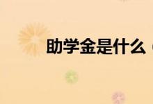 助學(xué)金是什么（怎么申請(qǐng)助學(xué)金）