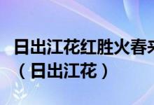 日出江花紅勝火春來江水綠如藍的意思是什么（日出江花）