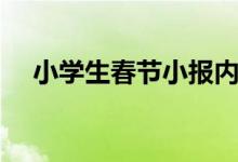 小學生春節(jié)小報內容（小學生春節(jié)小報）
