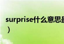 surprise什么意思最高級（surprise什么意思）