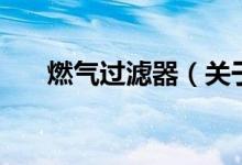 燃?xì)膺^濾器(關(guān)于燃?xì)膺^濾器的介紹)