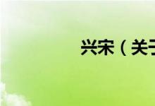 興宋（關于興宋的介紹）