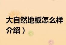 大自然地板怎么樣(關(guān)于大自然地板怎么樣的介紹)