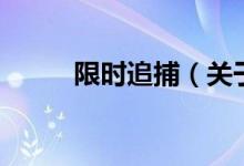限時追捕（關(guān)于限時追捕的介紹）
