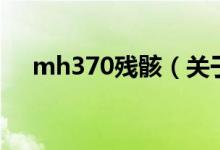 mh370殘?。P(guān)于mh370殘骸的介紹）