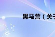 黑馬營(yíng)（關(guān)于黑馬營(yíng)的介紹）