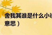 舍我其誰(shuí)是什么小說(shuō)改編的（舍我其誰(shuí)是什么意思）