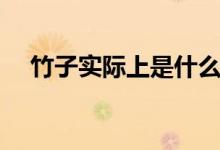竹子實際上是什么植物（竹子實際上是）