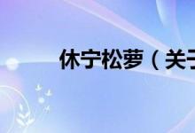 休寧松蘿（關于休寧松蘿的介紹）