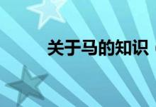 關于馬的知識（關于馬的手抄報）