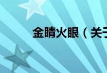 金睛火眼(關(guān)于金睛火眼的介紹)