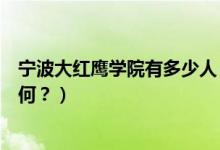 寧波大紅鷹學(xué)院有多少人（寧波大紅鷹學(xué)院怎么樣？評價如何？）