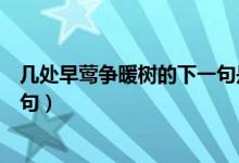 幾處早鶯爭(zhēng)暖樹的下一句是哪一句（幾處早鶯爭(zhēng)暖樹的下一句）
