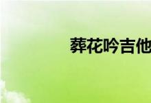 葬花吟吉他(葬花吟賞析)