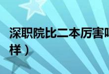 深職院比二本厲害嗎（深圳職業(yè)技術學院怎么樣）