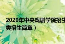 2020年中央戲劇學(xué)院招生計劃（2020年中央戲劇學(xué)院藝術(shù)類招生簡章）