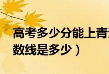 高考多少分能上青海師范大學（2020錄取分數(shù)線是多少）
