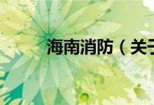 海南消防（關于海南消防的介紹）