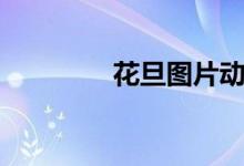 花旦圖片動(dòng)漫（花旦圖片）