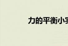 力的平衡小實(shí)驗(yàn)（力的平衡）