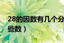 28的因數(shù)有幾個分別是哪些（28的因數(shù)有哪些數(shù)）