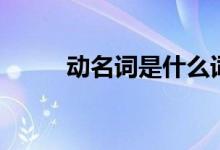 動名詞是什么詞(動名詞是什么)