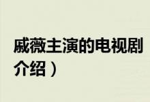 戚薇主演的電視?。P(guān)于戚薇主演的電視劇的介紹）
