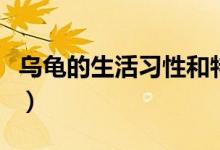 烏龜?shù)纳盍?xí)性和特點(diǎn)作文(烏龜?shù)纳盍?xí)性)