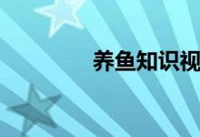 養(yǎng)魚知識視頻（養(yǎng)魚知識）