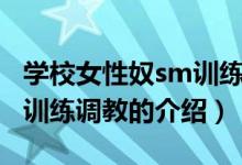學校女性奴sm訓(xùn)練調(diào)教（關(guān)于學校女性奴sm訓(xùn)練調(diào)教的介紹）