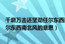 千磨萬(wàn)擊還堅(jiān)勁任爾東西南北風(fēng)的作文（千磨萬(wàn)擊還堅(jiān)勁任爾東西南北風(fēng)的意思）