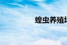 蝗蟲養(yǎng)殖場（蝗蟲養(yǎng)殖）