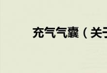 充氣氣囊（關于充氣氣囊的介紹）