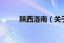 陜西洛南（關于陜西洛南的介紹）