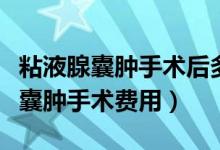 粘液腺囊腫手術(shù)后多久可以正常飲食（粘液腺囊腫手術(shù)費用）