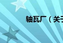 軸瓦廠（關(guān)于軸瓦廠的介紹）