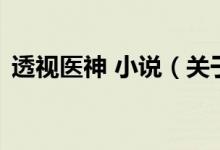 透視醫(yī)神 小說(關(guān)于透視醫(yī)神 小說的介紹)