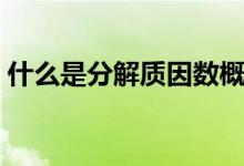 什么是分解質因數(shù)概念（什么是分解質因數(shù)）