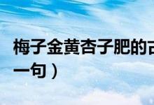 梅子金黃杏子肥的古詩（梅子金黃杏子肥的下一句）