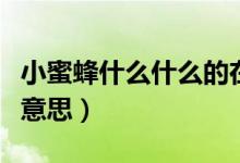 小蜜蜂什么什么的在花叢中采蜜(小蜜蜂什么意思)