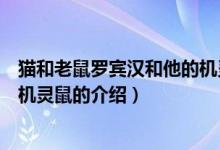 貓和老鼠羅賓漢和他的機(jī)靈鼠（關(guān)于貓和老鼠羅賓漢和他的機(jī)靈鼠的介紹）
