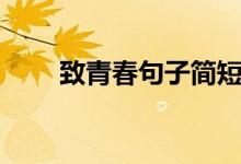 致青春句子簡短的（青春勵(lì)志短句）