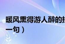 暖風(fēng)熏得游人醉的拼音(暖風(fēng)熏得游人醉的下一句)