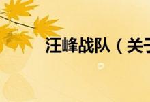 汪峰戰(zhàn)隊（關(guān)于汪峰戰(zhàn)隊的介紹）