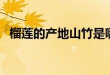 榴蓮的產(chǎn)地山竹是哪里產(chǎn)的（榴蓮的產(chǎn)地）