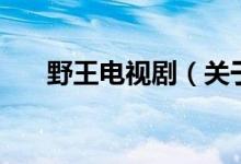 野王電視劇（關(guān)于野王電視劇的介紹）
