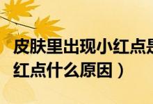 皮膚里出現(xiàn)小紅點(diǎn)是怎么回事(皮膚上面有小紅點(diǎn)什么原因)